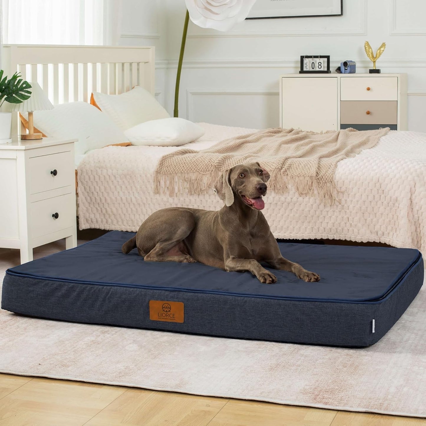 Cama ortopédica perros espuma visco 6pulg funda impermeable