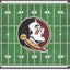 Alfombra campo Seminoles 30x72"