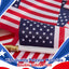 Banderas americanas en palo pack 25