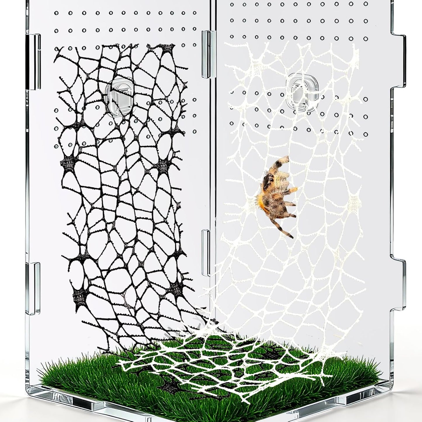 6 Pzas Accesorios Telaraña Escalada 9 Ganchos Arañas Negra Blanca