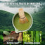 Juego batidor matcha cuenco soporte cuchara regalo hogar cocina