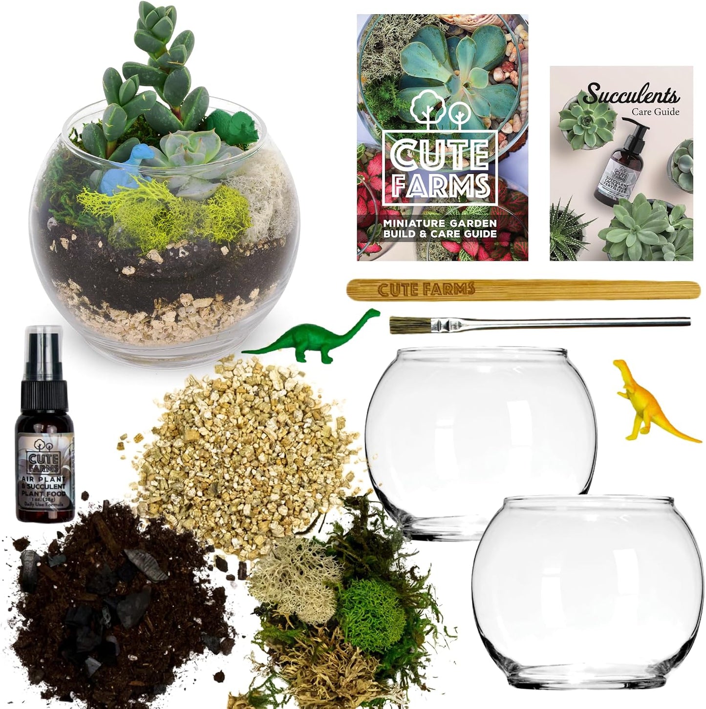 Kit terrario vidrio con dos tazones para plantas