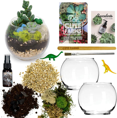 Kit terrario vidrio con dos tazones para plantas