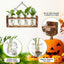 Terrario calavera vidrio decoración hogar