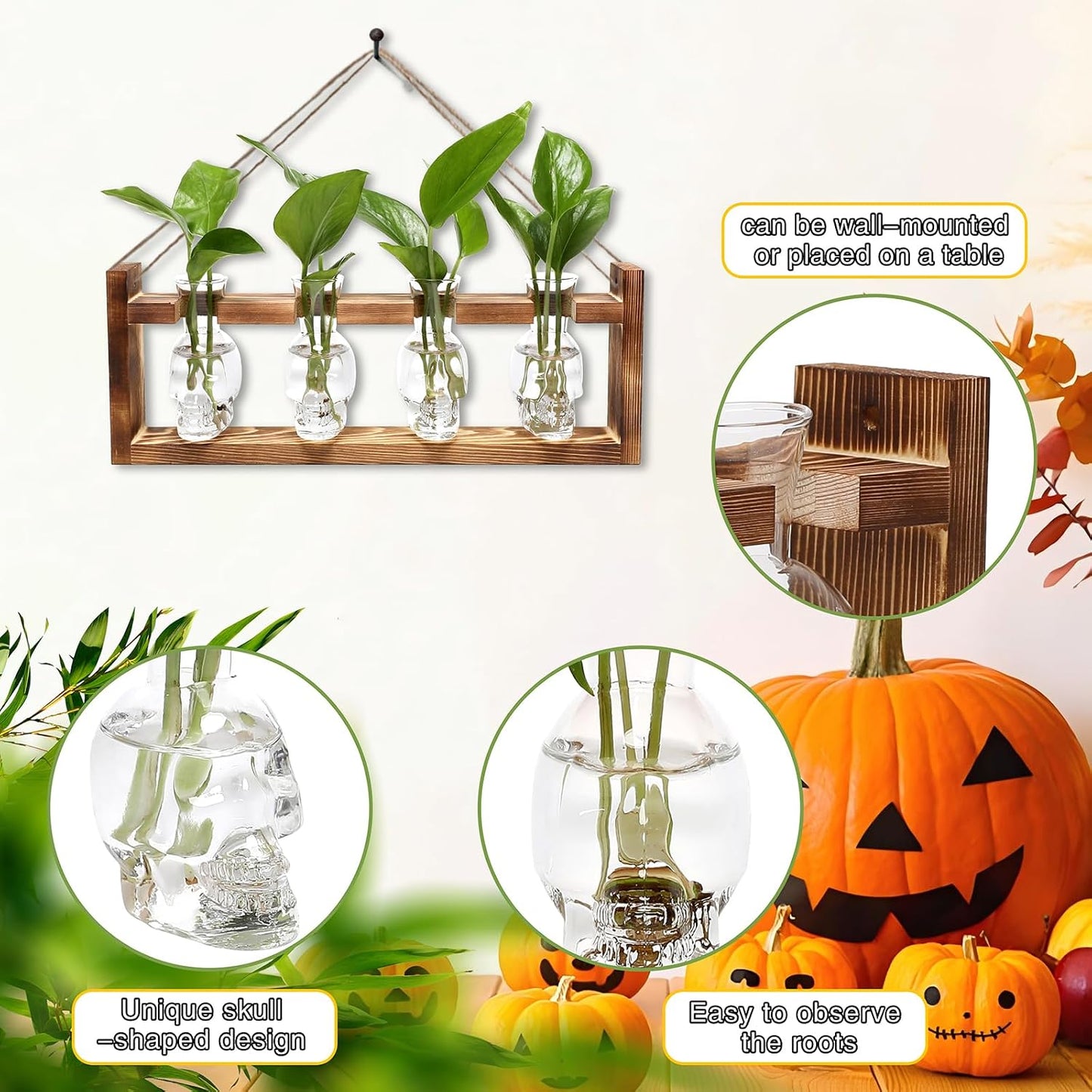 Terrario calavera vidrio decoración hogar