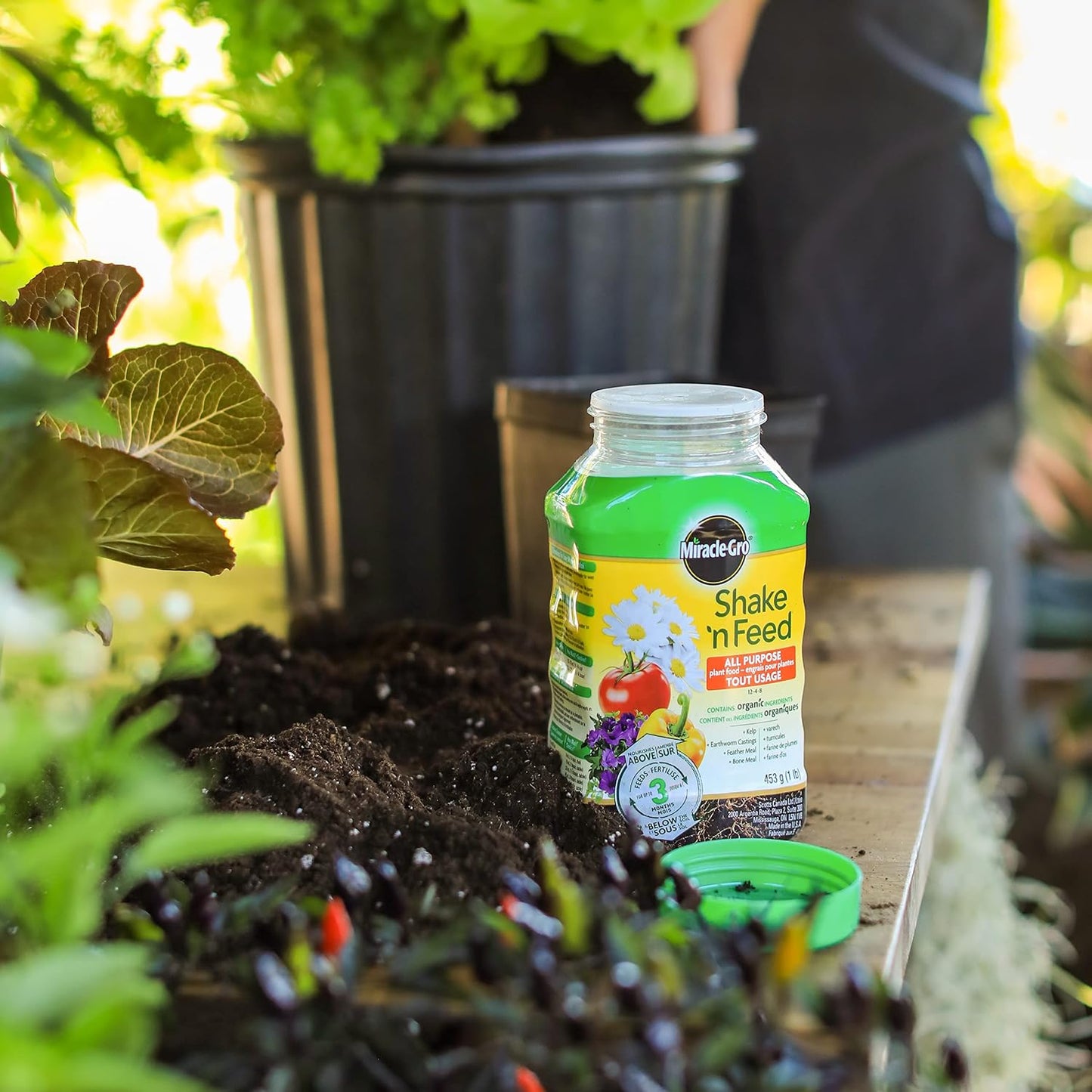 Fertilizante vegetal Shake n Feed 15.98oz