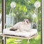 Percha ventana gato con cojín 4 ventosas hamaca madera natural