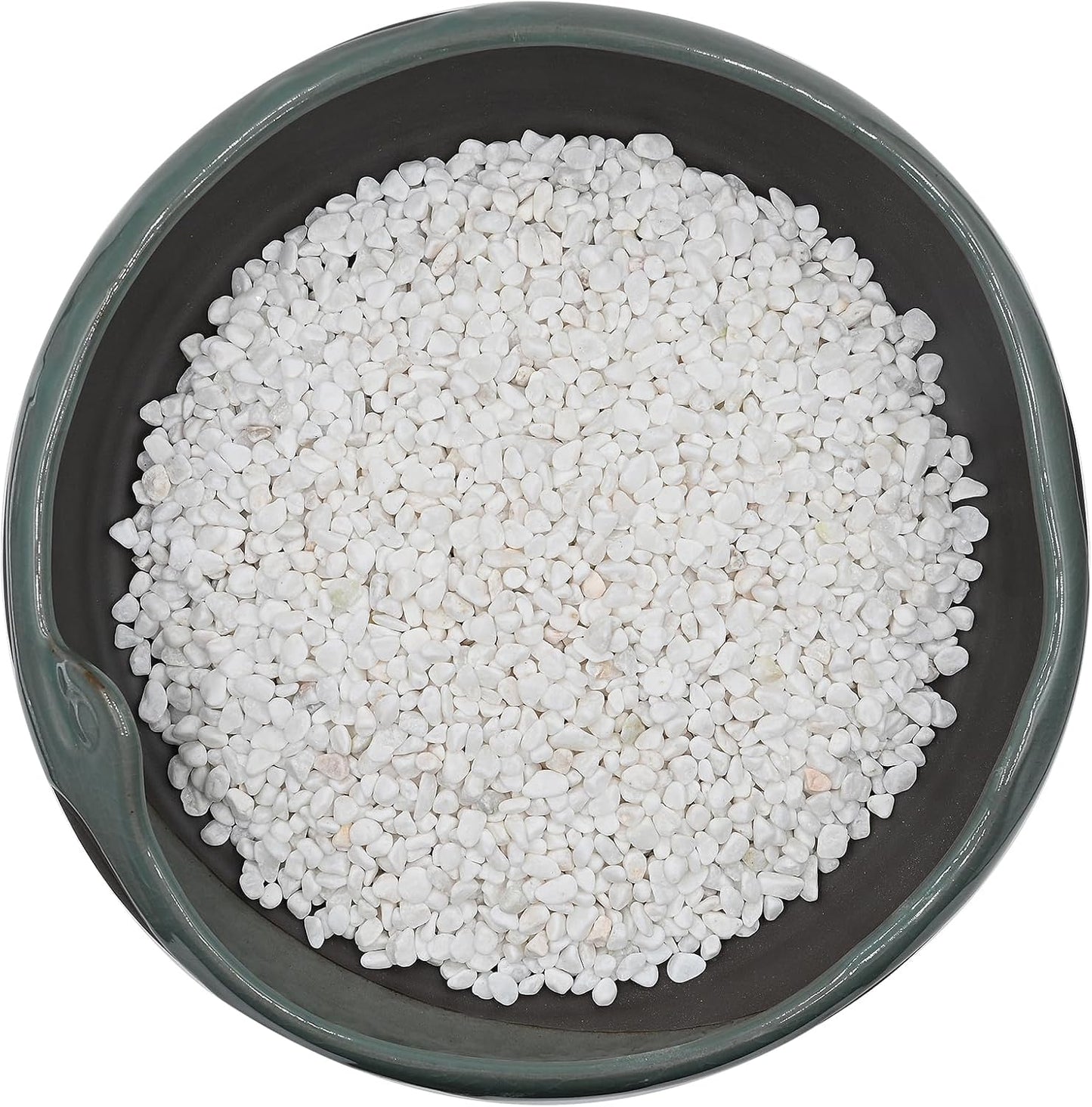 Grava guisante blanca para suculentas y cactus 2lbs