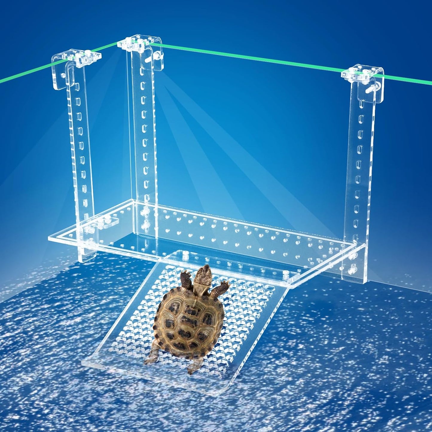 Plataforma ajustable para tortugas acuáticas 13x6.9 pulg