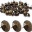 60 Pzas Tachuelas Tapicería Metal 25x23mm