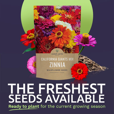 Semillas Zinnia Gigantes de California 1lb 48000uds colores mixtos
