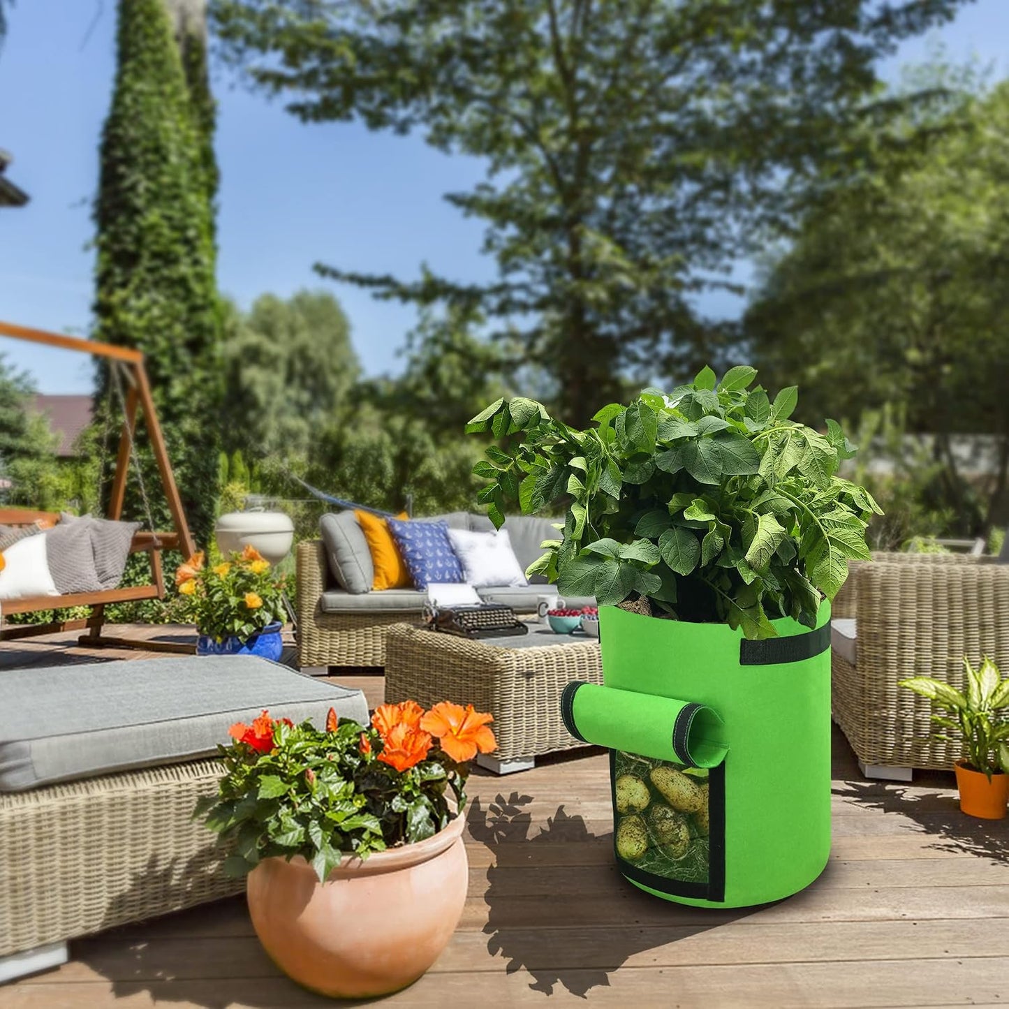 6 Pzas Bolsas Cultivo 10gal Sin BPA con Asas