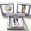 Set 3 Pzas Marco Flotante 3D para Monedas Blanco 2.75"