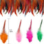 Plumas manualidades 240pzas 5-7pulg coloridas bodas fiestas