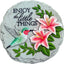 Piedra decorativa colibrí para jardín