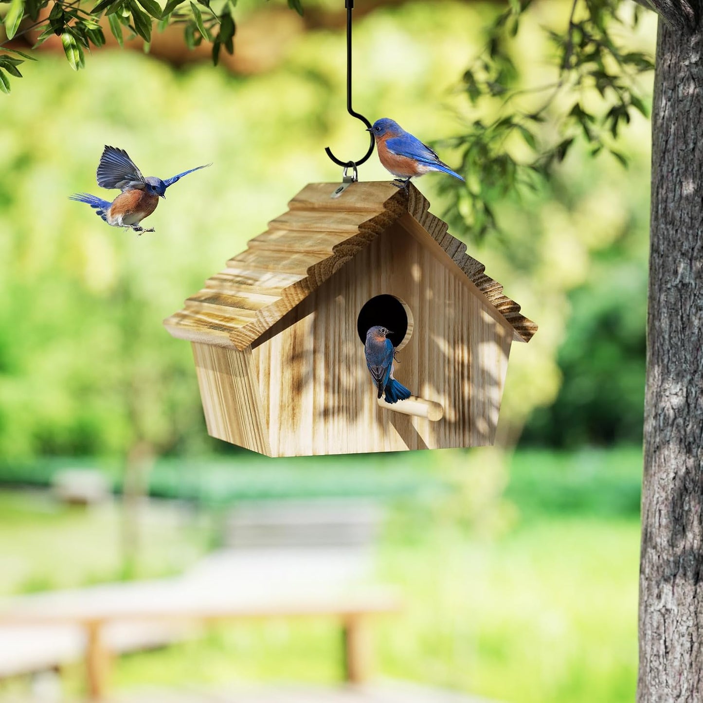 Casa pájaros colgante madera exterior para cardenales