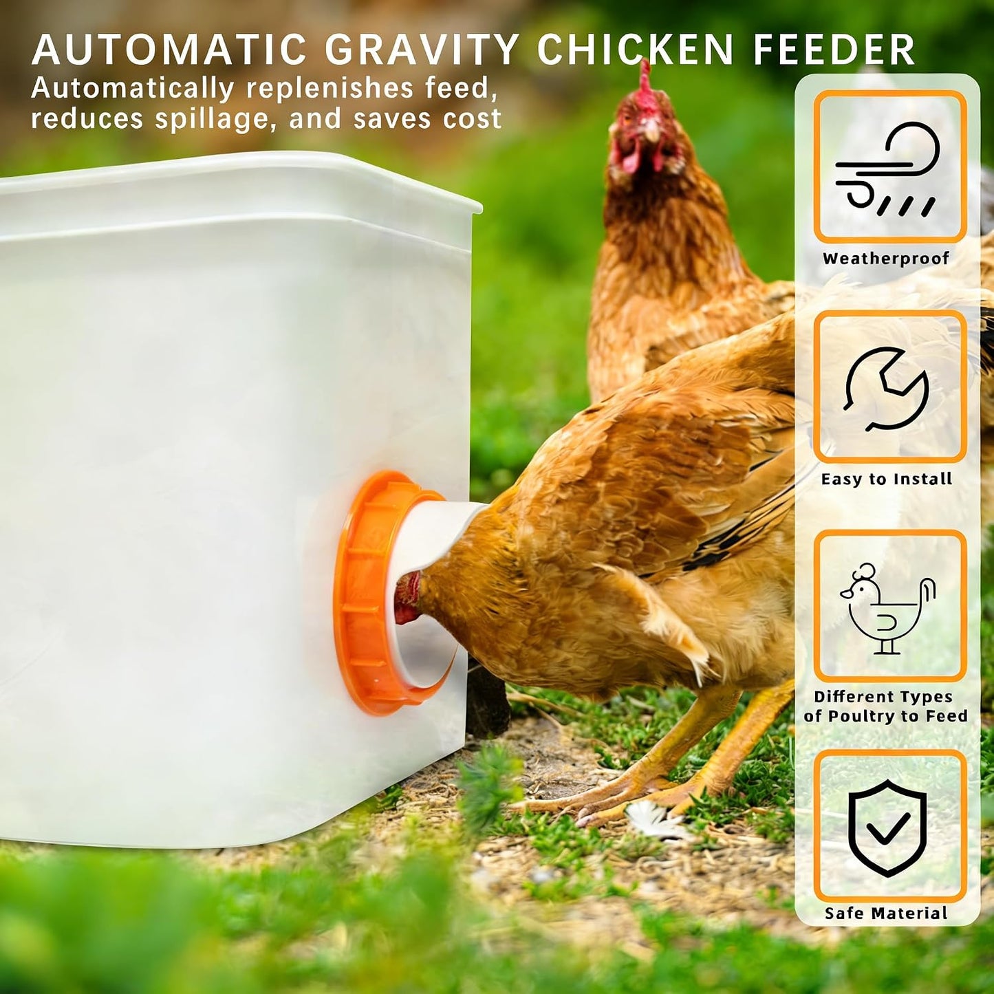 6 Comederos Pollo Con Tapas Tazas Automáticas Naranja