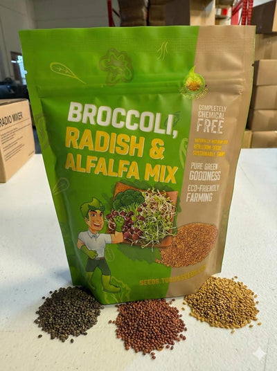 Mezcla semillas germinar brócoli rábano alfalfa 1/4libra