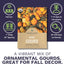 Semillas calabaza mixtas orgánicas 2 pack
