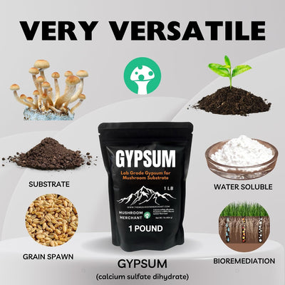 Polvo yeso para cultivo hongos ultra fino