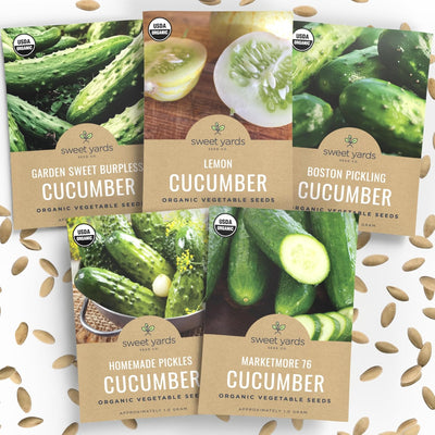 Paquete 5 semillas pepino orgánico Marketmore 76 y más para plantar