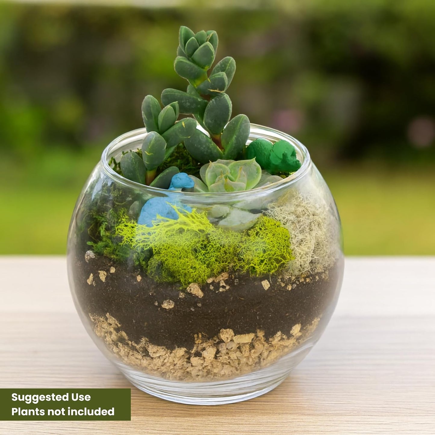 Kit terrario vidrio con dos tazones para plantas