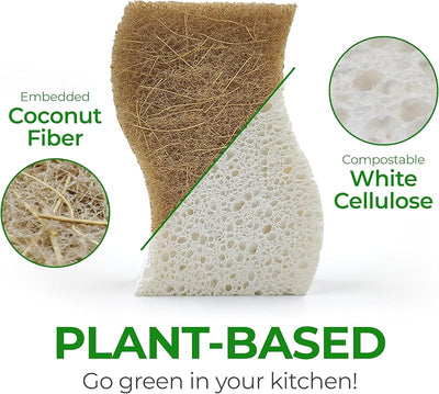 Esponja cocina biodegradable celulosa nuez de coco 12 pzas