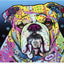Lienzo exterior 'The Bulldog' Dean Russo 35x47