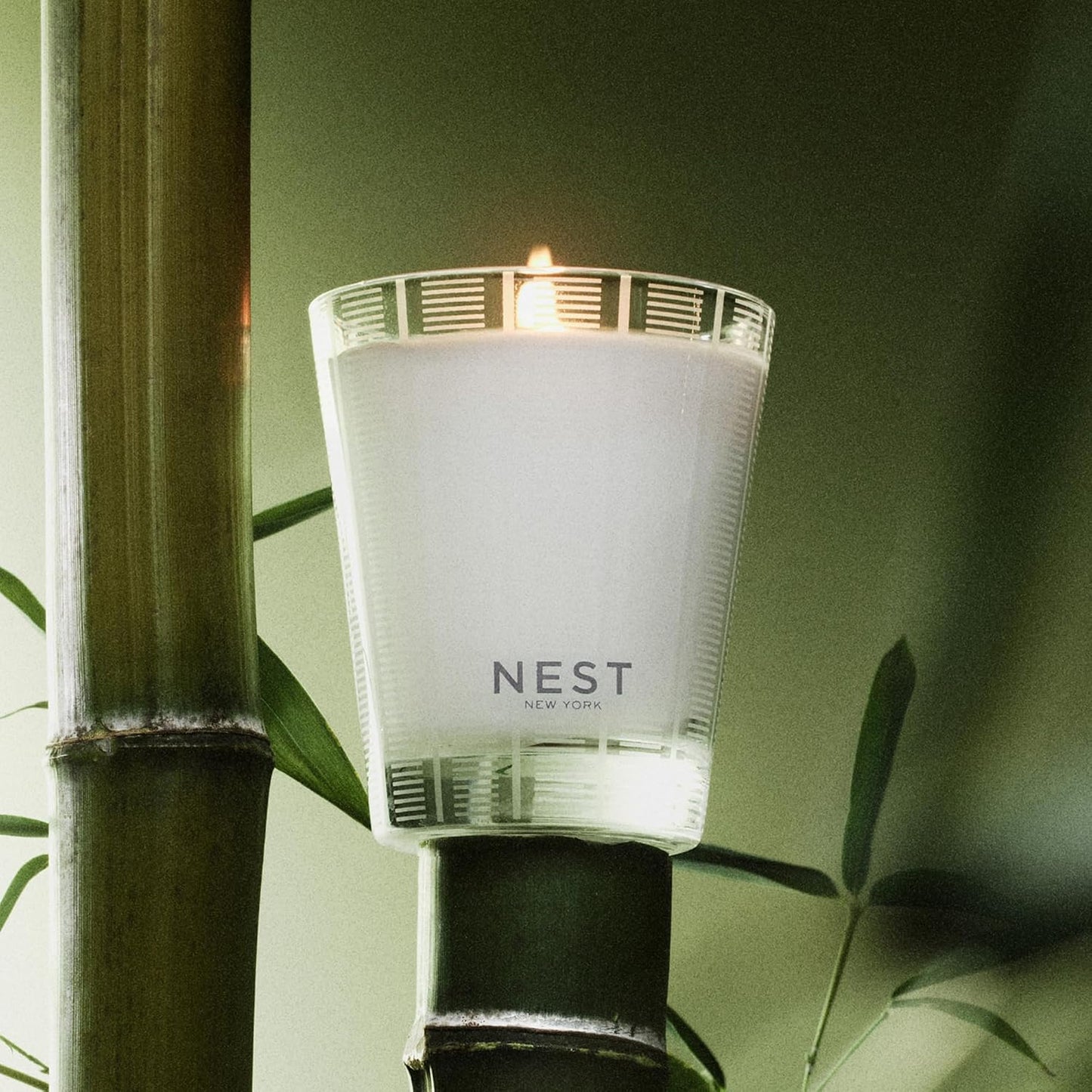 Vela clásica perfumada bambú 8.1oz 60h vidrio reutiliz.