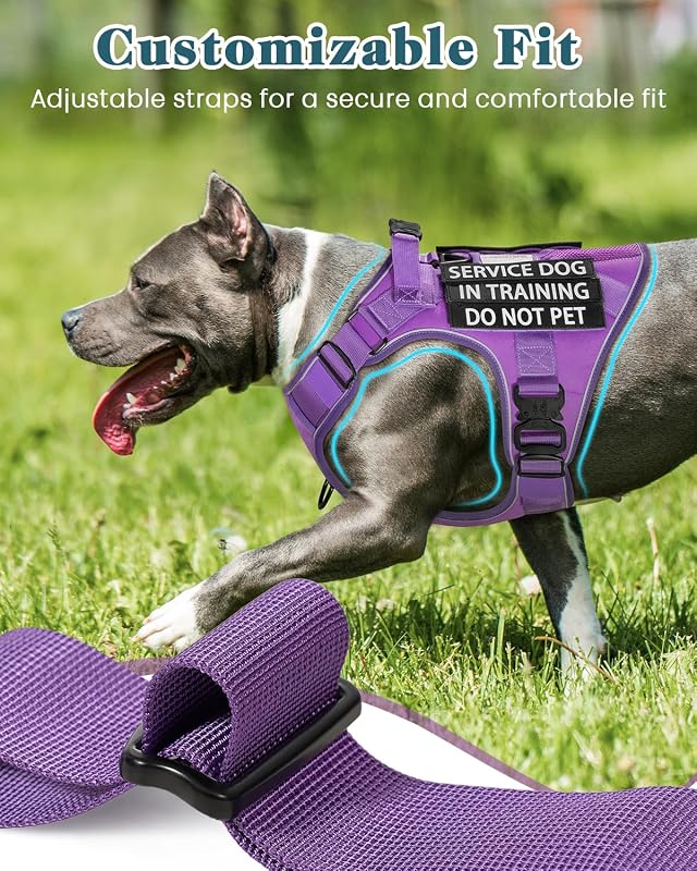 Chaleco entrenamiento perros medianos con hebillas metal