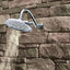 Cabezal regadera Moen S1311 8pulg 2.5GPM cromado