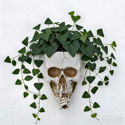 Maceta calavera gótica decoración pared