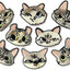 8 imanes gato para nevera taquilla pizarra decoración