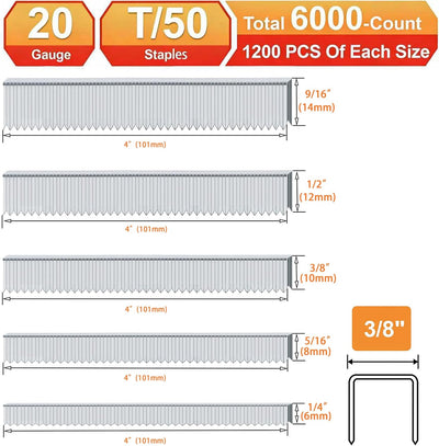 20 Grapas Galvanizadas T/50 Paquete 5 Tamaños Surtidos 1/4-9/16pulg