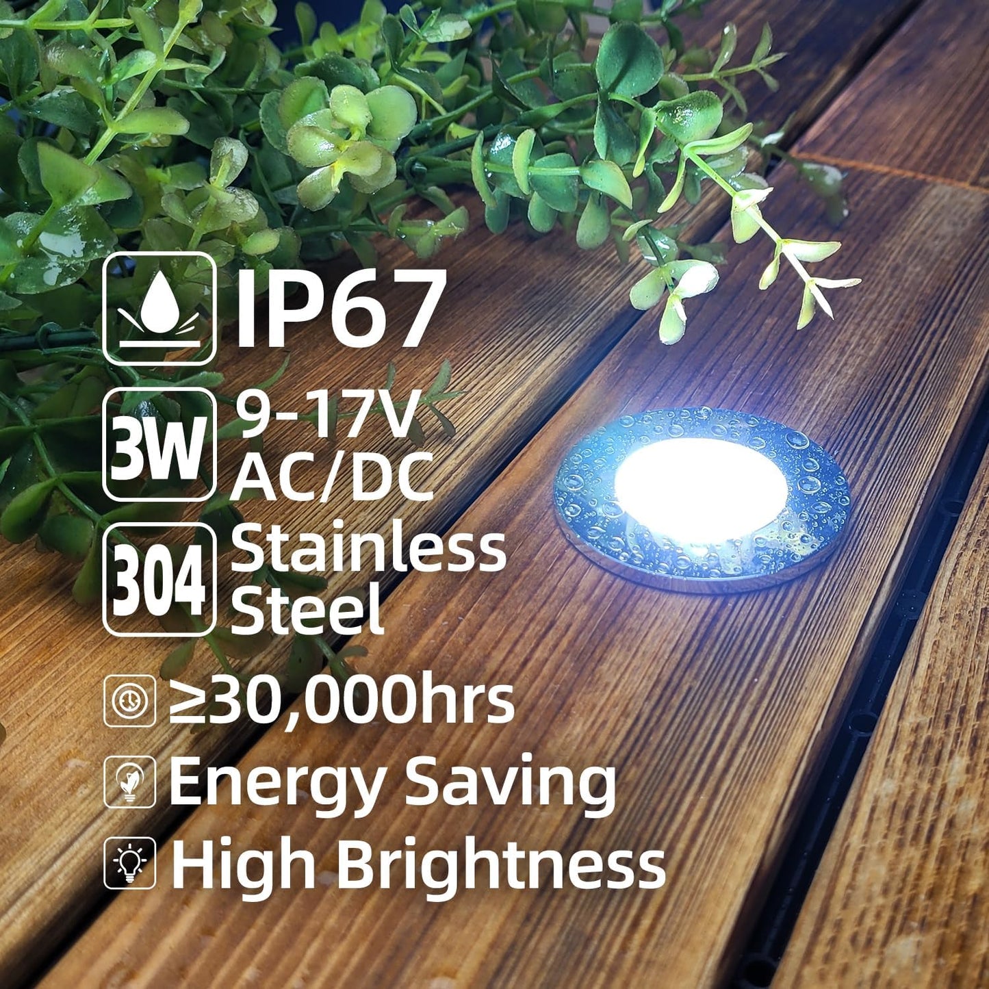 6 Luces LED cubierta bajo voltaje φ48mm acero inox 304