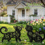 Estatuas gato metal exteriores 14pulg pack 2