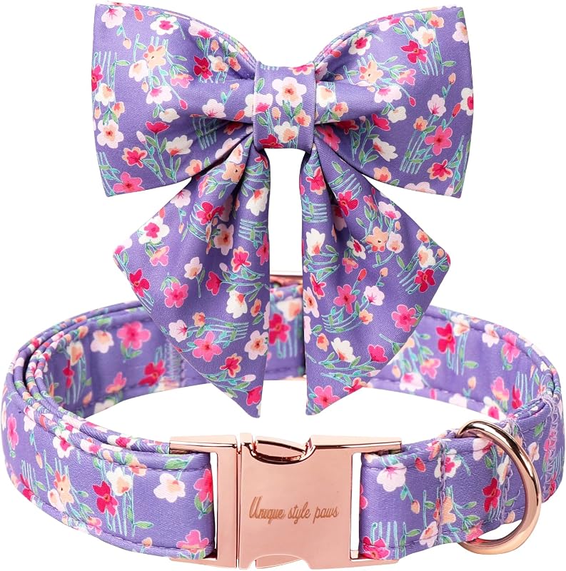 Collar perro dibujos animados con pajarita para niños