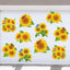 10 Imanes Girasol para Puerta Garaje 12" Decoración