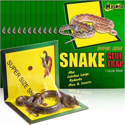 12 Trampas Pegamento Serpiente 13x20pulg Adhesiva Mejorada