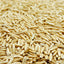 Semilla avena blanca 5 libras sin rellenos Oregon