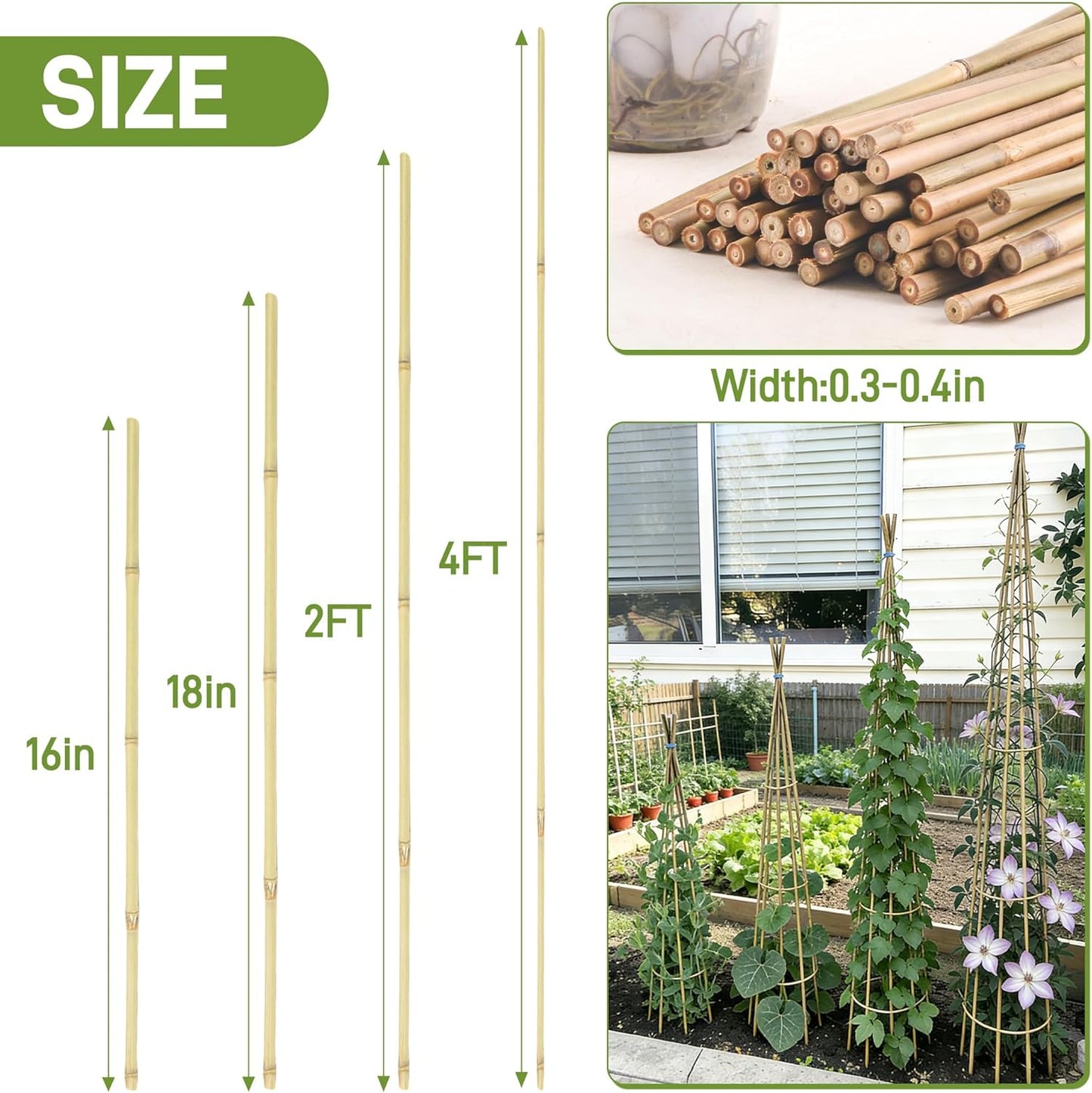 50 Estacas Bambú 16pulg para Tomates y Plantas