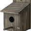 Casa pájaros exterior con protector depredadores azul rey
