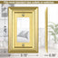 Placa latón dorado para enchufe y interruptor set 6
