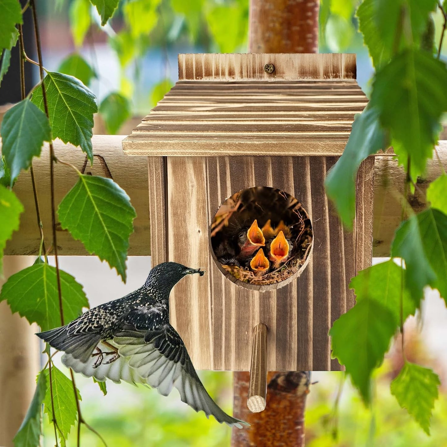 Casa pájaros madera colgar jardín decoración patio