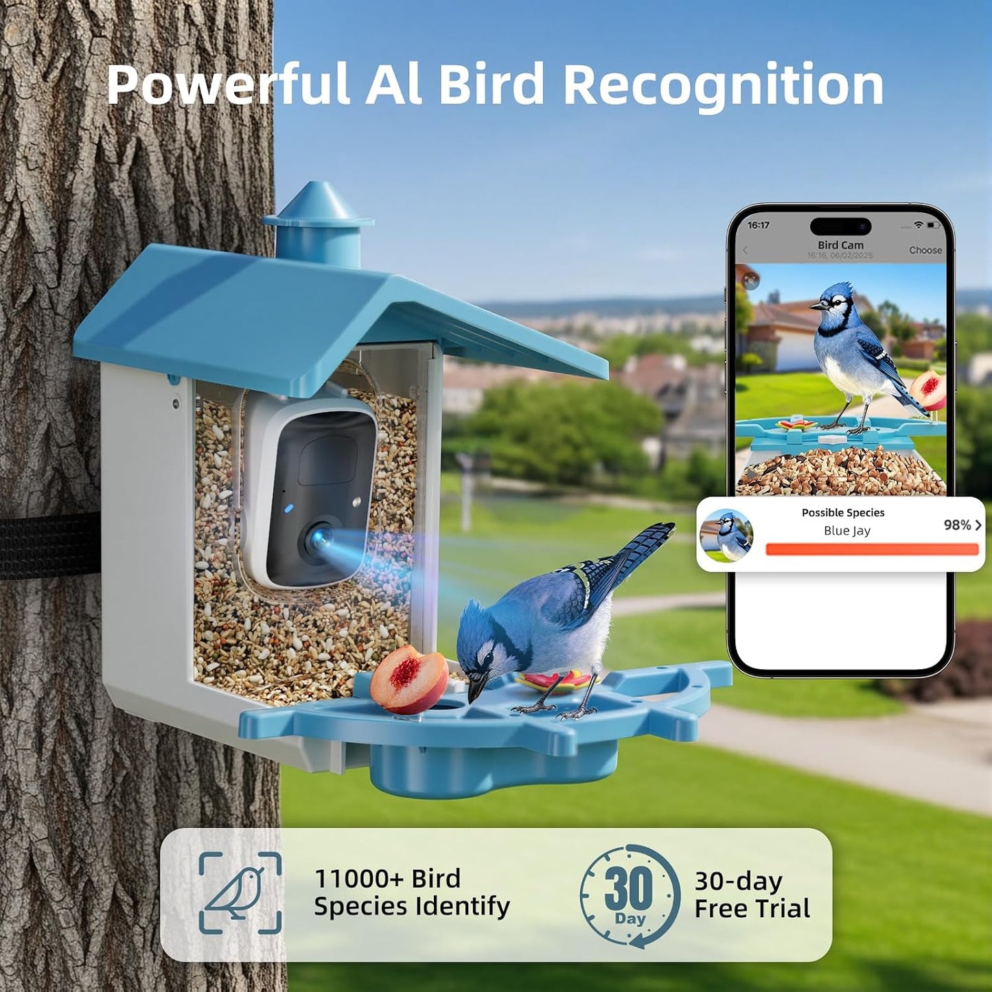 Comedero inteligente para pájaros con cámara WiFi y solar
