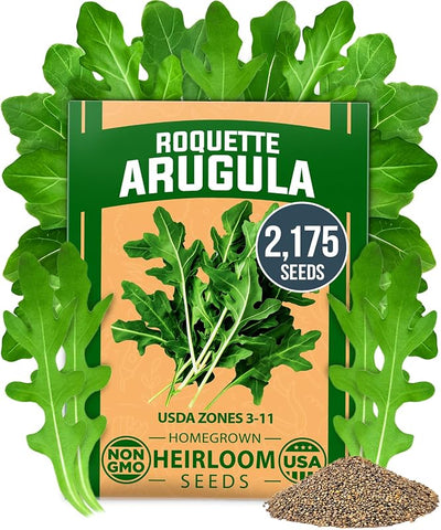 Mezcla semillas rúcula germinación alta para jardín hidropónico