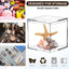 Caja acrílico 8 pzas transparente para joyas y dulces