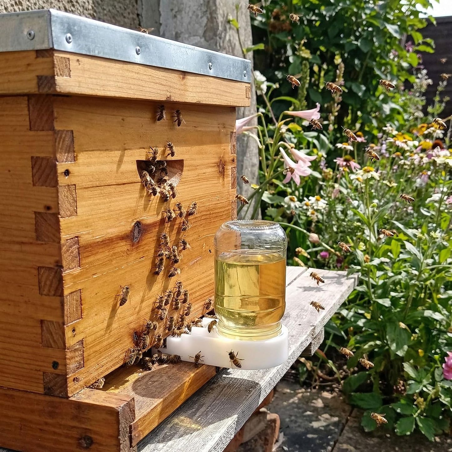 6 Alimentadores Abejas Tarro Azúcar Prueba Fugas