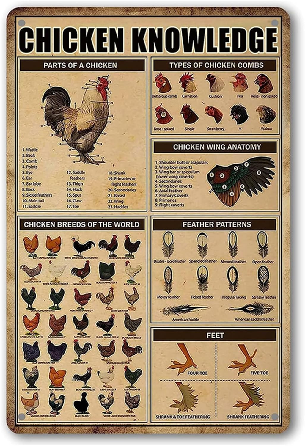 Letrero metal gallinero decoración pared razas pollo
