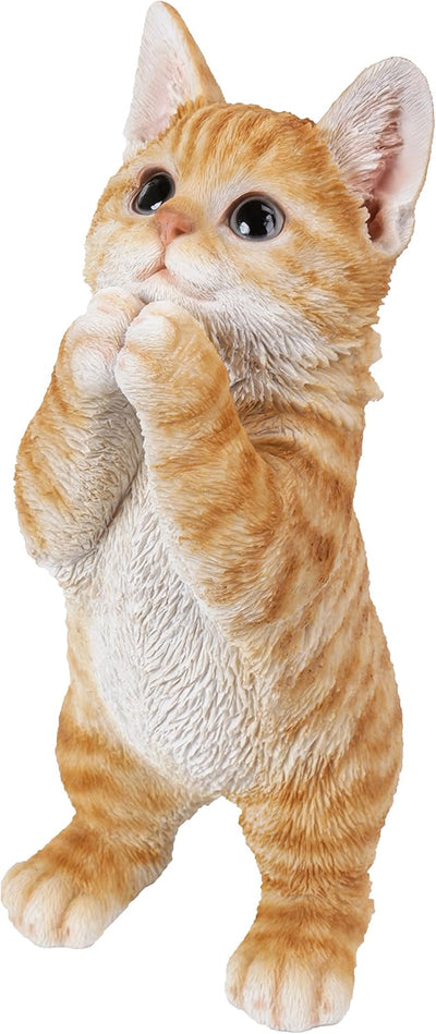 Estatua gatito atigrado jardín